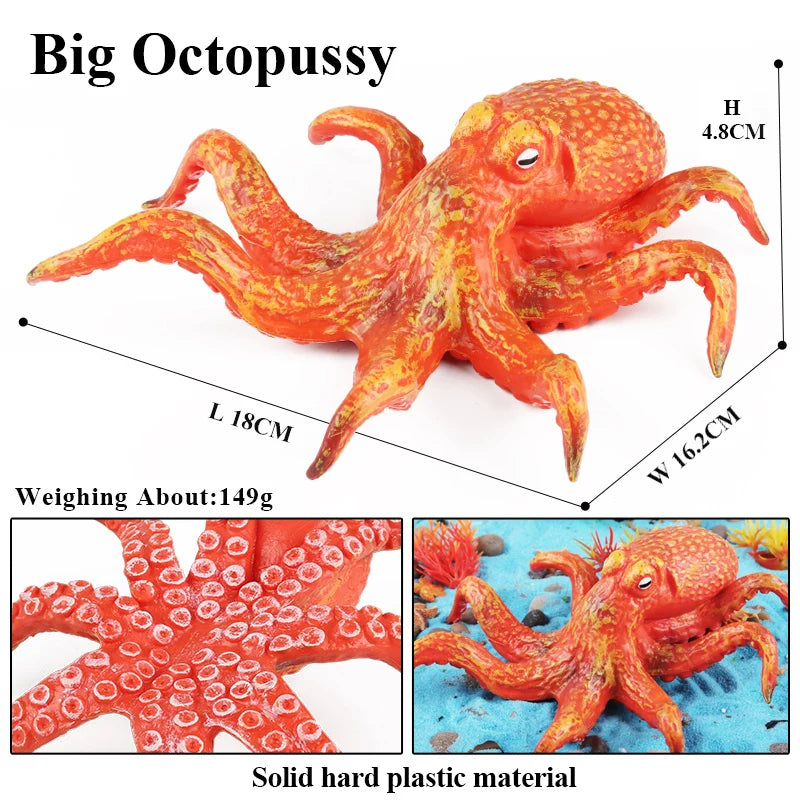 Oenux Marine Molluscs Model Simulation Squid Octopus Growth Cycle Action Figure Sealife Animals Education Collection Kids Toy