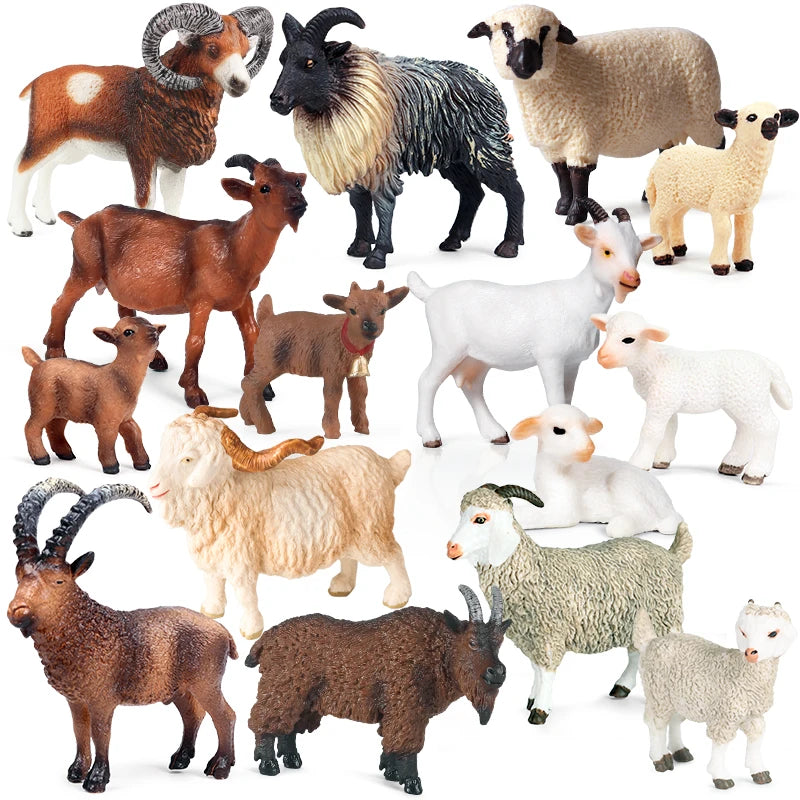 Oenux Classic Farm Animal Simulation Sheep Goat Argali Antelope Model Action Figure Poultry Figurines Cute Toy For Kid Gift