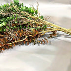 104cm Fake Eucalyptus Rattan Artificial Plants Vine Plastic Tree Branch Wall Hanging Leafs for Home Garden Outdoor Wedding Decor