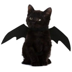 Creative Cute Pet Clothes Black Bat Wings Carrier Costume Cosplay Cat and Dog Party Pet Supplies Cosplay