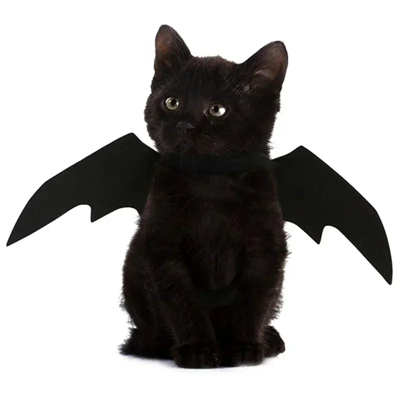 Creative Cute Pet Clothes Black Bat Wings Carrier Costume Cosplay Cat and Dog Party Pet Supplies Cosplay