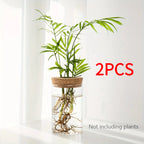 1pc, Hydroponics Plants Desktop Glass Planter Vase For Home Decoration, Plant Propagation Station Bud Vase, Desktop Hydroponics