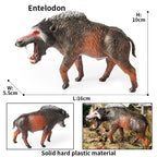 Oenux Prehistoric Wild Animals Doedicurus Armadillo Doedicurus Sabretooth Model Action Figures PVC Collection Toy Kid Gift
