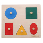 Montessori Puzzle Toys Wooden Geometric Sorting Game