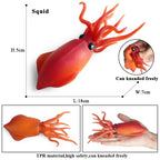 Oenux Marine Molluscs Model Simulation Squid Octopus Growth Cycle Action Figure Sealife Animals Education Collection Kids Toy