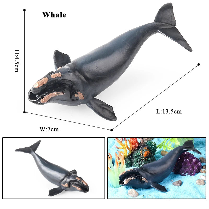 Oenux Ocean Life Animals Whale Dolphin Basking Shark Narwhal Tropical Fish Model Action Figures PVC Education Toy Kids Gift