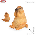 Oenux Wild Animals Simulation Rodent Marmot Mouse Model Squirrel Rat Chinchilla Action Figure Figurine Collection Cute Kid Toy