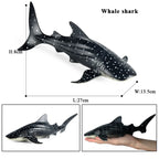 Oenux Ocean Animal Savage Megalodon Beluga Big Shark Orca Sperm Blue Whale Action Figures Sea Life Model Educational Kids Toy