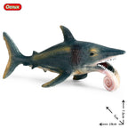 Oenux Ocean Animals Action Figures Sealife Shark Whare Megalodon Model Figurines PVC Home Decoration Kid Cognitive Education Toy