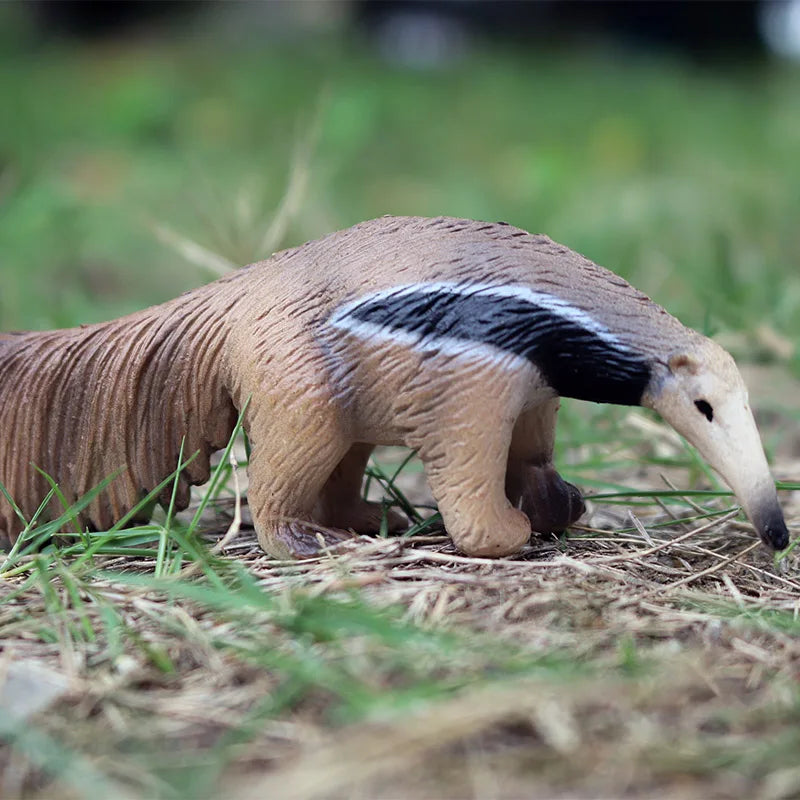 Oenux Wild Animals Simulation AArdvark Anteater Armadillo Pangolin Ant Natural Enemy Figurines PVC Model Collection Kid Toy Gift