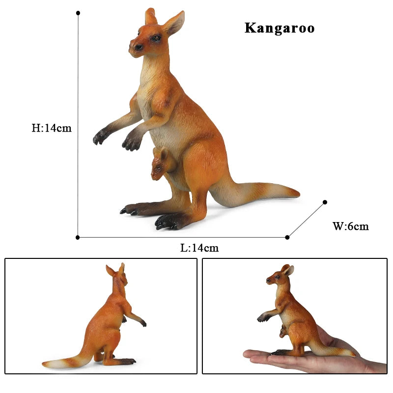 Oenux Classic Australian Wild Animals Kangaroos Koala Platypus Tasmanian Devil Echidna Cassowary Model Figurine Toy Kid Gift