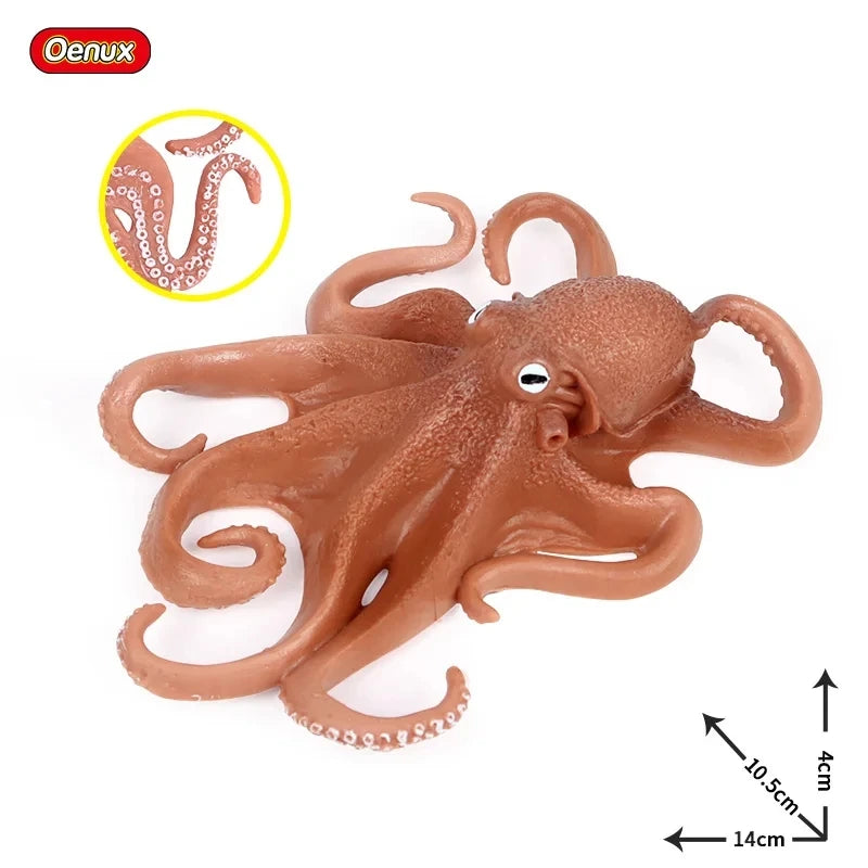 Oenux Marine Molluscs Model Simulation Squid Octopus Growth Cycle Action Figure Sealife Animals Education Collection Kids Toy