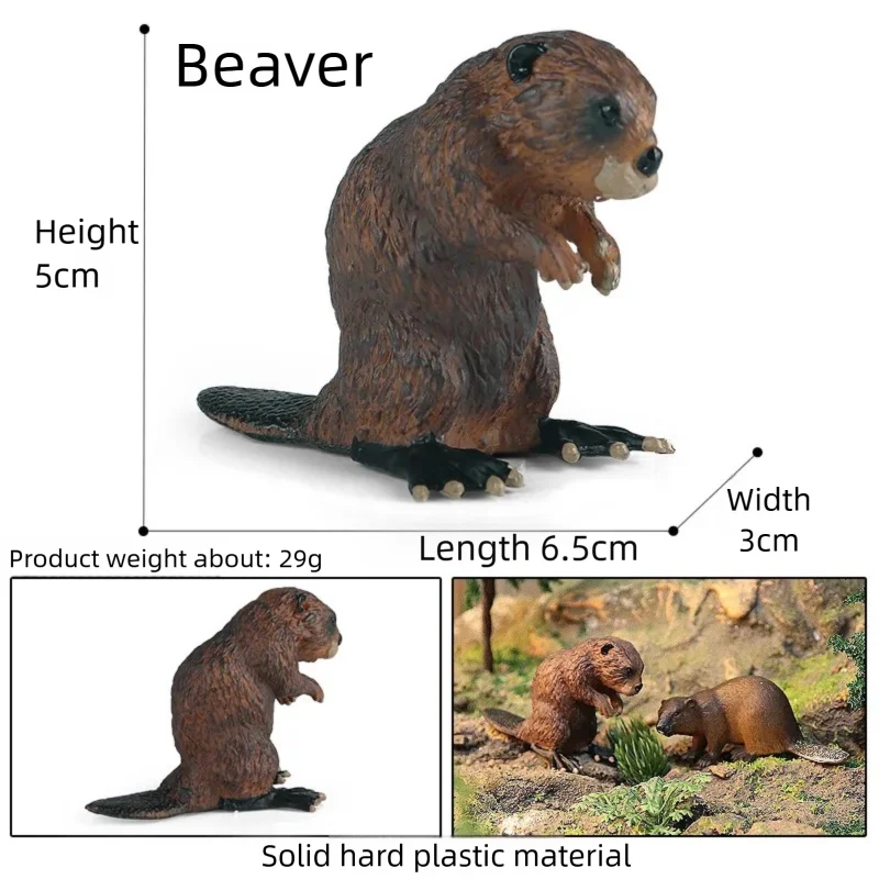 Oenux Realistic Wildlife Animal Model Beaver Badger Wolverine Anteater Pangolin Figurine  Simulation Cognitive Educational Displ