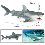Oenux Ocean Life Animals Whale Dolphin Basking Shark Narwhal Tropical Fish Model Action Figures PVC Education Toy Kids Gift