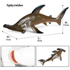 Oenux Ocean Animal Savage Megalodon Beluga Big Shark Orca Sperm Blue Whale Action Figures Sea Life Model Educational Kids Toy