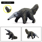 Oenux Wild Animals Simulation AArdvark Anteater Armadillo Pangolin Ant Natural Enemy Figurines PVC Model Collection Kid Toy Gift