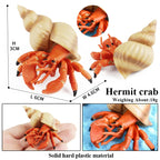 Oenux Sea Life Animals Coral Octopus Nautiloidea Crab Starfish Ocean Model Action Figures Educational Collection Toy Kid Gift