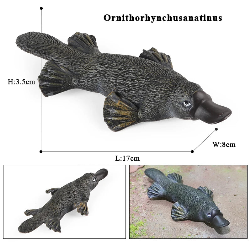 Oenux Classic Australian Wild Animals Kangaroos Koala Platypus Tasmanian Devil Echidna Cassowary Model Figurine Toy Kid Gift