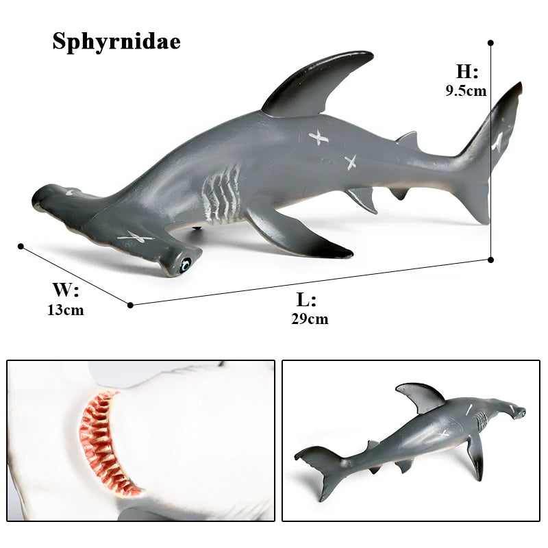 Oenux Ocean Animal Savage Megalodon Beluga Big Shark Orca Sperm Blue Whale Action Figures Sea Life Model Educational Kids Toy