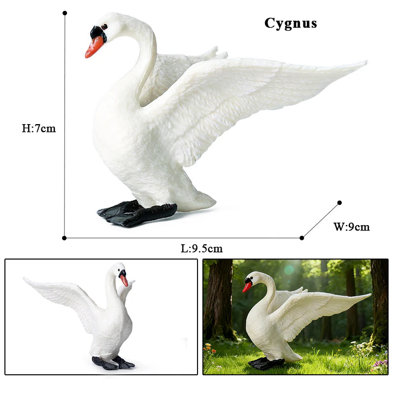 Oenux Poultry Model Simulation Goose Swan Gaggle Duck Flock Action Figures Farm Animals Figurine Miniature Education Kids Toy