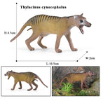 Oenux Prehistoric Wild Animals Doedicurus Armadillo Doedicurus Sabretooth Model Action Figures PVC Collection Toy Kid Gift