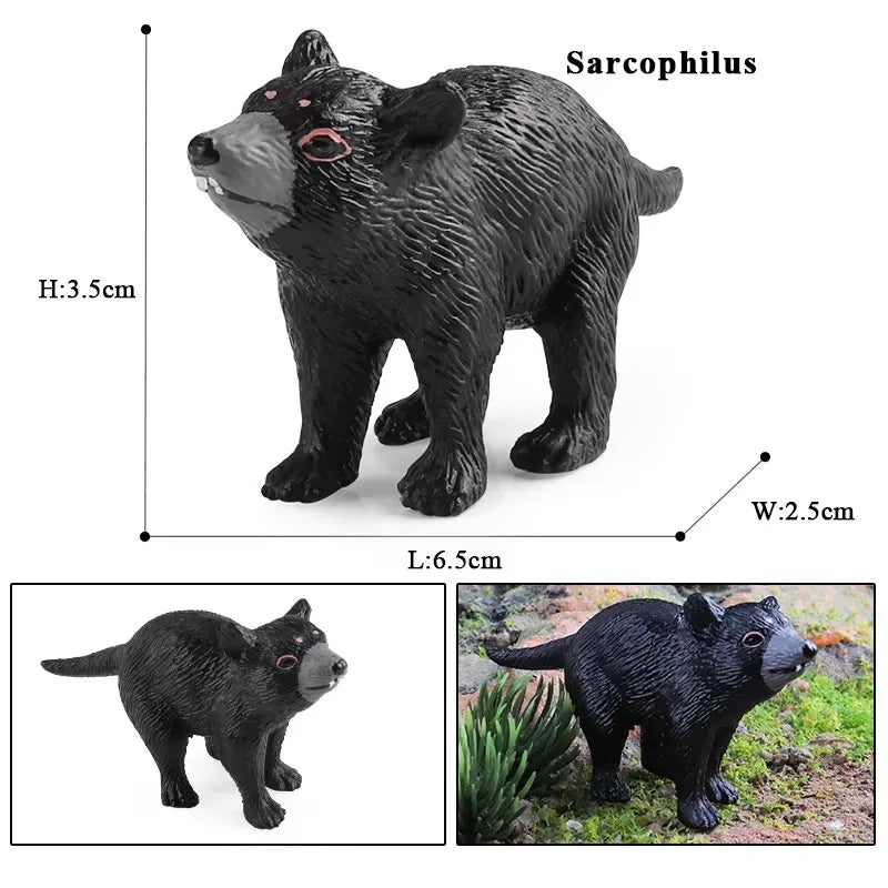 Oenux Classic Australian Wild Animals Kangaroos Koala Platypus Tasmanian Devil Echidna Cassowary Model Figurine Toy Kid Gift
