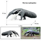Oenux Wild Animals Simulation AArdvark Anteater Armadillo Pangolin Ant Natural Enemy Figurines PVC Model Collection Kid Toy Gift