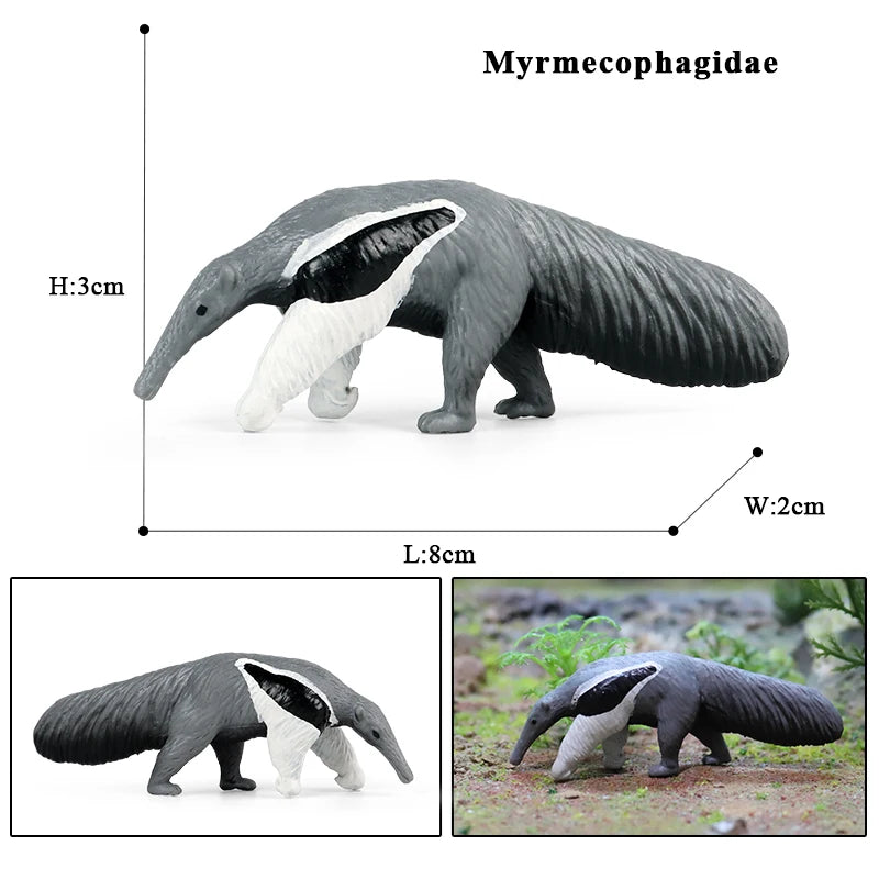 Oenux Wild Animals Simulation AArdvark Anteater Armadillo Pangolin Ant Natural Enemy Figurines PVC Model Collection Kid Toy Gift