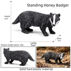 Oenux Realistic Wildlife Animal Model Beaver Badger Wolverine Anteater Pangolin Figurine  Simulation Cognitive Educational Displ