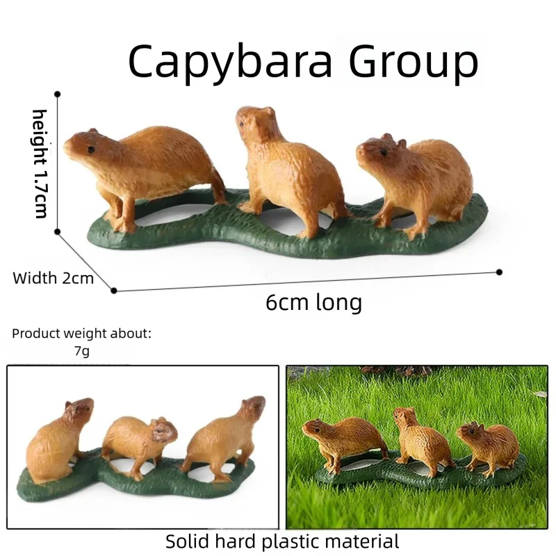 Oenux Realistic Wildlife Animal Model Beaver Badger Wolverine Anteater Pangolin Figurine  Simulation Cognitive Educational Displ
