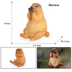 Oenux Wild Animals Simulation Rodent Marmot Mouse Model Squirrel Rat Chinchilla Action Figure Figurine Collection Cute Kid Toy