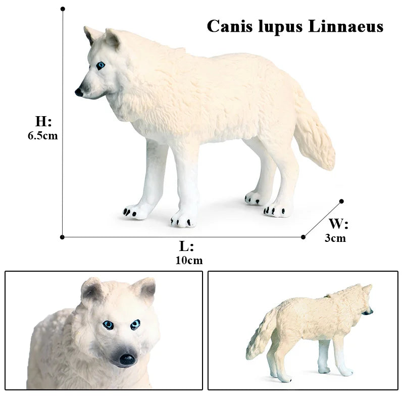 Oenux Wild Beast Animals Small Gray Wolf Maned Wolf Baby Wolves Simulation Model Action Figures Collection PVC Gift Kid Toy Gift