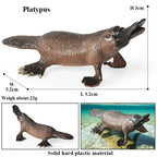 Oenux Classic Australian Wild Animals Kangaroos Koala Platypus Tasmanian Devil Echidna Cassowary Model Figurine Toy Kid Gift