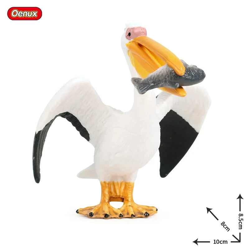 Oenux Classic Australian Wild Animals Kangaroos Koala Platypus Tasmanian Devil Echidna Cassowary Model Figurine Toy Kid Gift