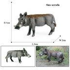 Oenux Wild Boar Tapirus Indicus Porcupine Animals Simulation Model Action Figures Figurine Educational Collection Kids Toy Gift