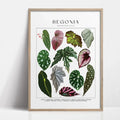 1pc Green Botanical Leaves Interior Art Print Houseplants Nature Indoors Canvas Wall Home Decor Calming Poster Foliage and Plant