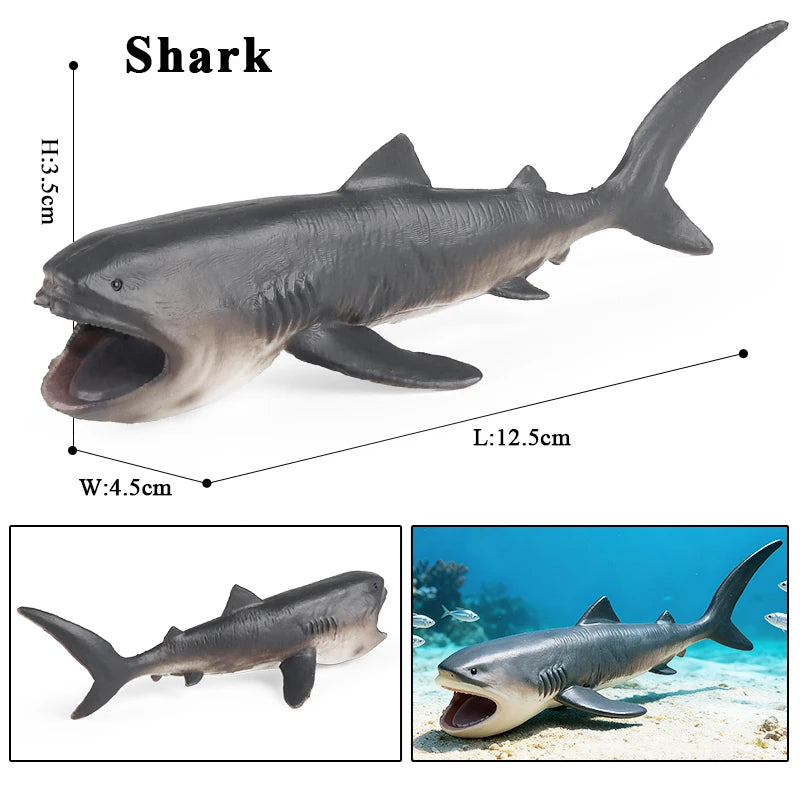 Oenux Ocean Life Animals Whale Dolphin Basking Shark Narwhal Tropical Fish Model Action Figures PVC Education Toy Kids Gift
