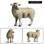 Oenux Classic Farm Animal Simulation Sheep Goat Argali Antelope Model Action Figure Poultry Figurines Cute Toy For Kid Gift