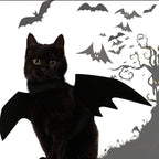 Creative Cute Pet Clothes Black Bat Wings Carrier Costume Cosplay Cat and Dog Party Pet Supplies Cosplay