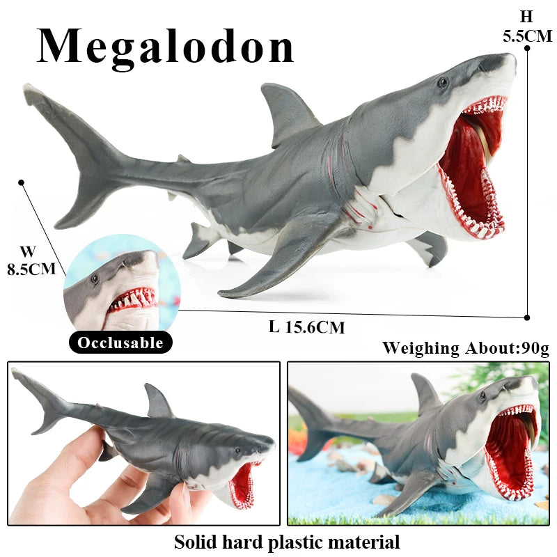 Oenux Ocean Animal Savage Megalodon Beluga Big Shark Orca Sperm Blue Whale Action Figures Sea Life Model Educational Kids Toy