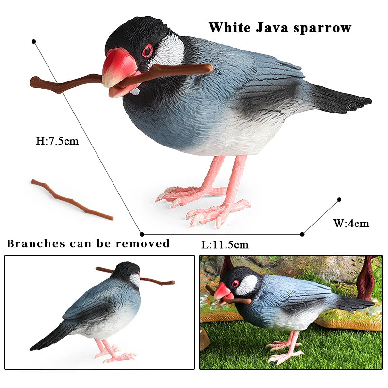 Oenux Garden Bird Figurines Snowy Owl Toucan Bucerotidae Animals Model PVC Action Figures Collection Toys For Kids Birthday Gift