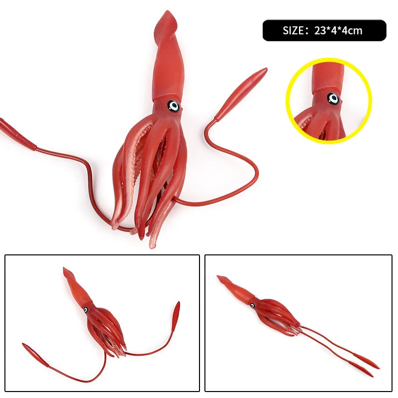 Oenux Marine Molluscs Model Simulation Squid Octopus Growth Cycle Action Figure Sealife Animals Education Collection Kids Toy