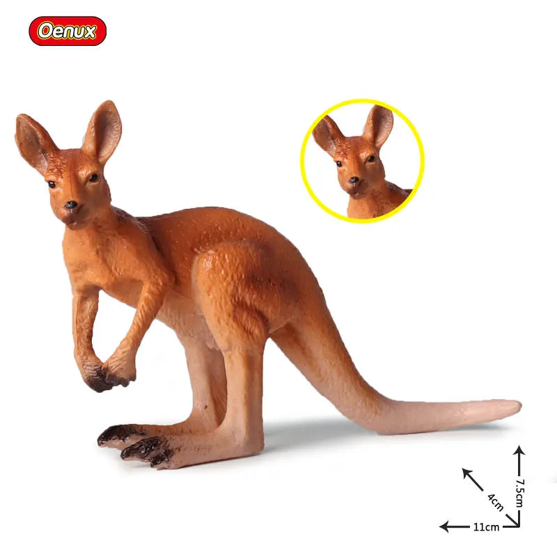 Oenux Classic Australian Wild Animals Kangaroos Koala Platypus Tasmanian Devil Echidna Cassowary Model Figurine Toy Kid Gift