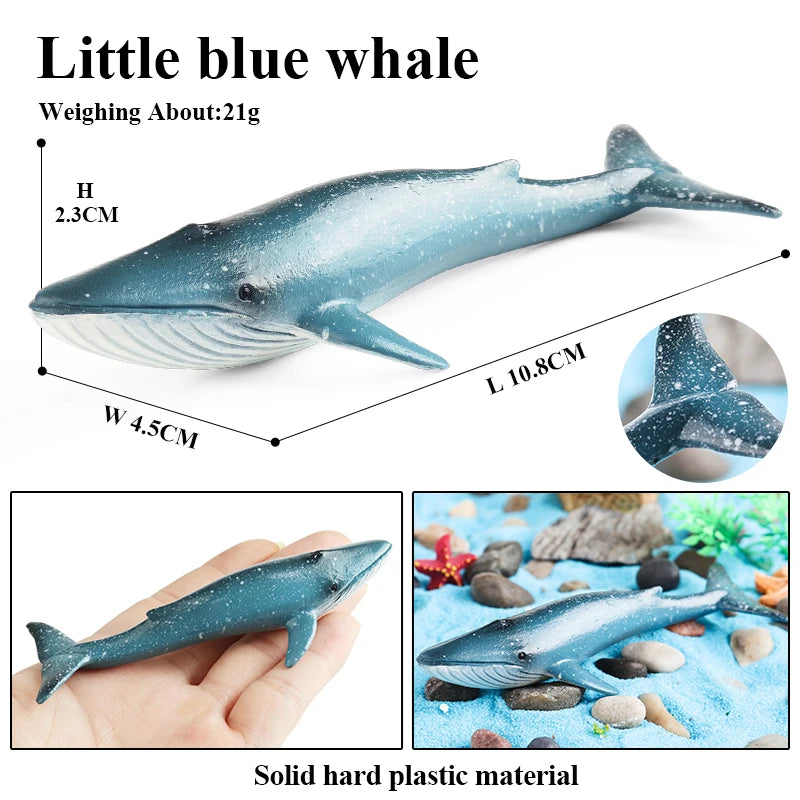 Oenux Sea Life Animals Coral Octopus Nautiloidea Crab Starfish Ocean Model Action Figures Educational Collection Toy Kid Gift