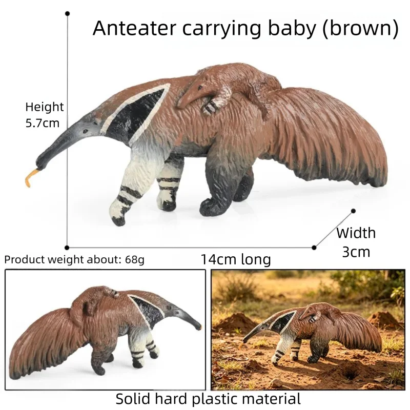 Oenux Realistic Wildlife Animal Model Beaver Badger Wolverine Anteater Pangolin Figurine  Simulation Cognitive Educational Displ