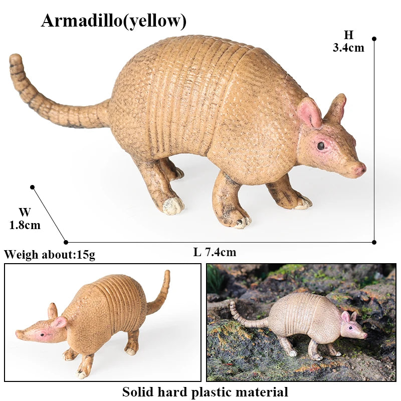 Oenux Wild Animals Simulation AArdvark Anteater Armadillo Pangolin Ant Natural Enemy Figurines PVC Model Collection Kid Toy Gift
