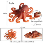 Oenux Marine Molluscs Model Simulation Squid Octopus Growth Cycle Action Figure Sealife Animals Education Collection Kids Toy