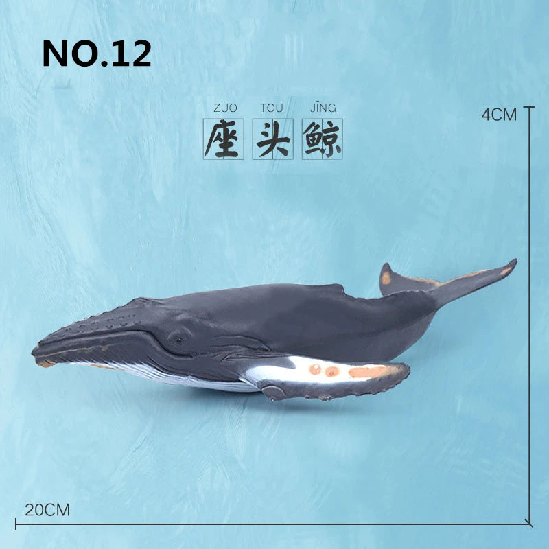 12 Styles Simulated Marine Sea Life Whale Shark Model Ocean Animals Dolphin Creative Home Decor Toys For Children Christmas Gift