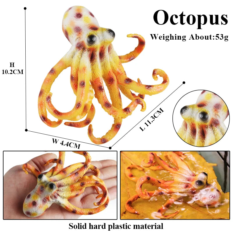 Oenux Marine Molluscs Model Simulation Squid Octopus Growth Cycle Action Figure Sealife Animals Education Collection Kids Toy