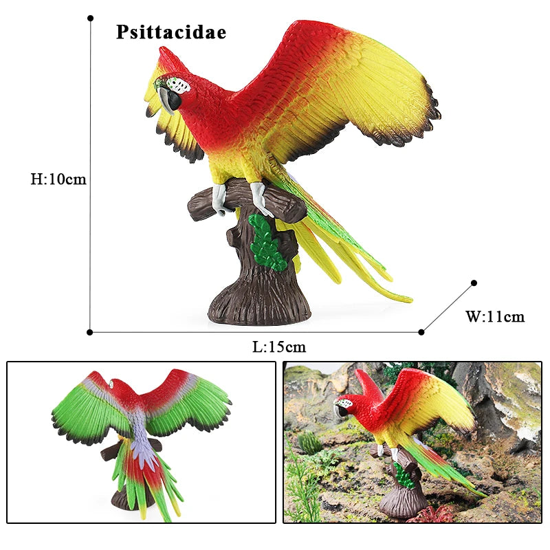 Oenux Bird Forest Animal Parrot Macaw Cockatiel Cockatoo Agapornis Puffin Model Solid PVC Garden Decoration Education Kids Toy